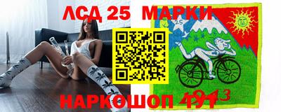 амф Бийск