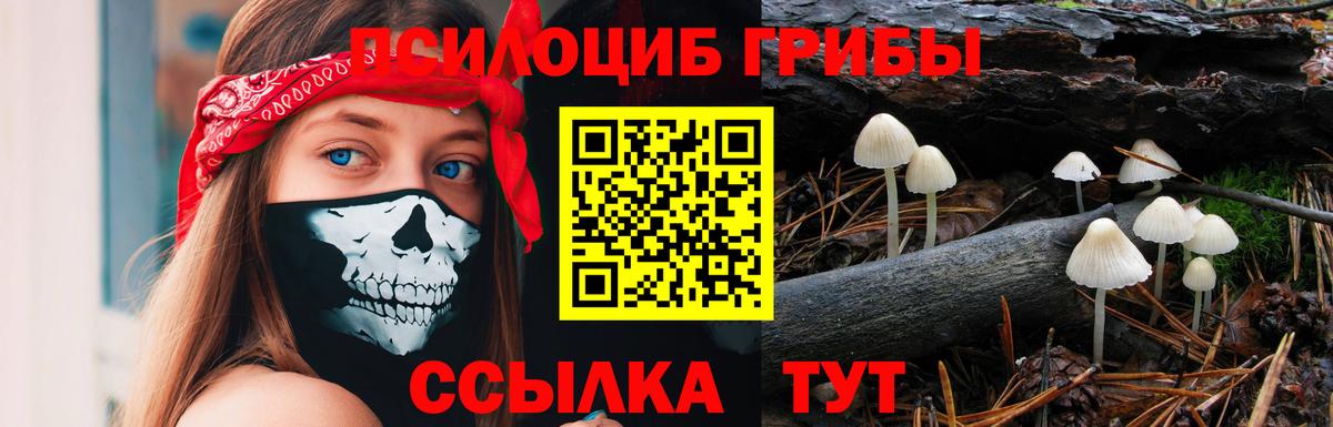 Галлюциногенные грибы мухоморы Зерноград